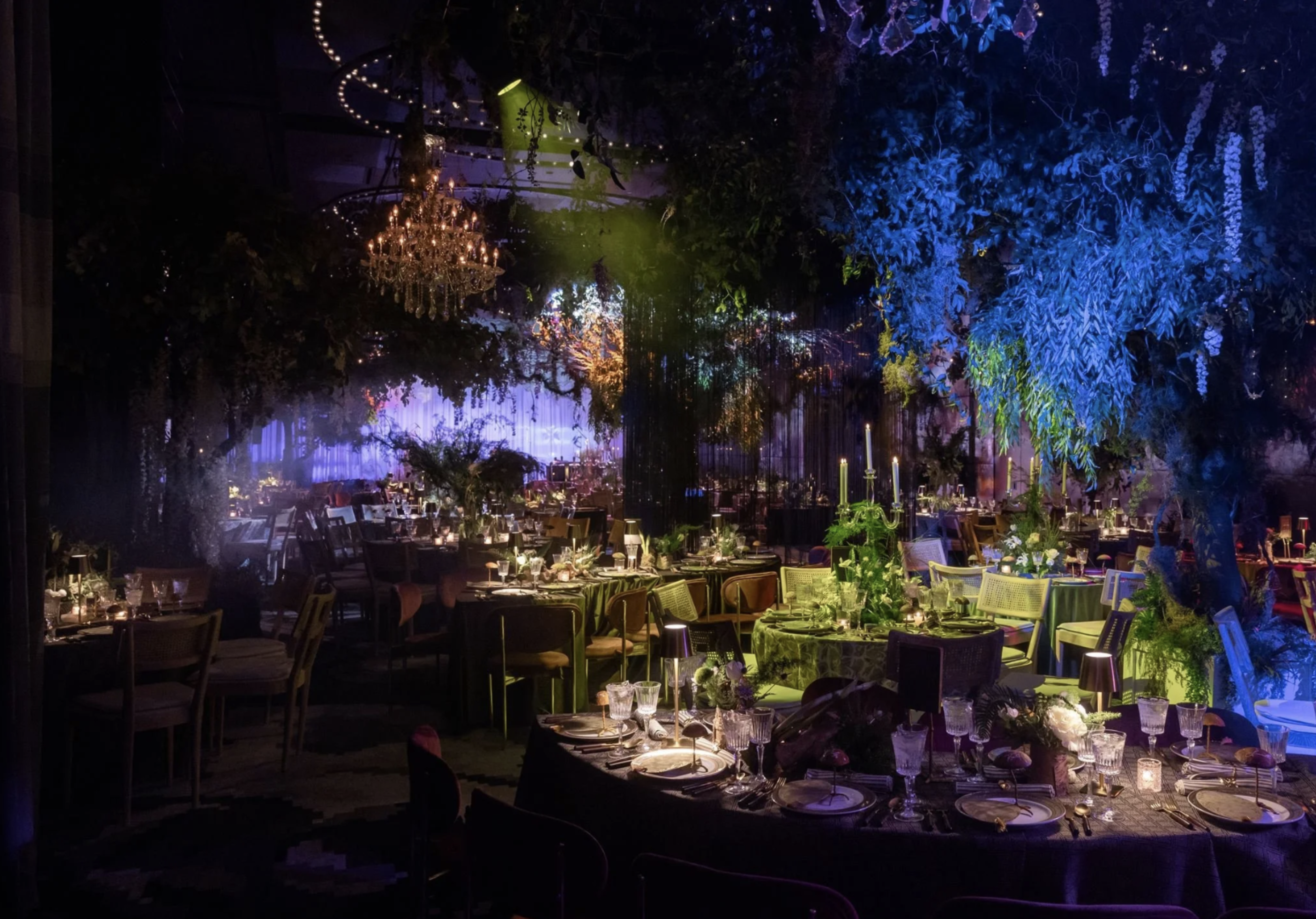 Philadelphia gala event with chandelier blue lighting