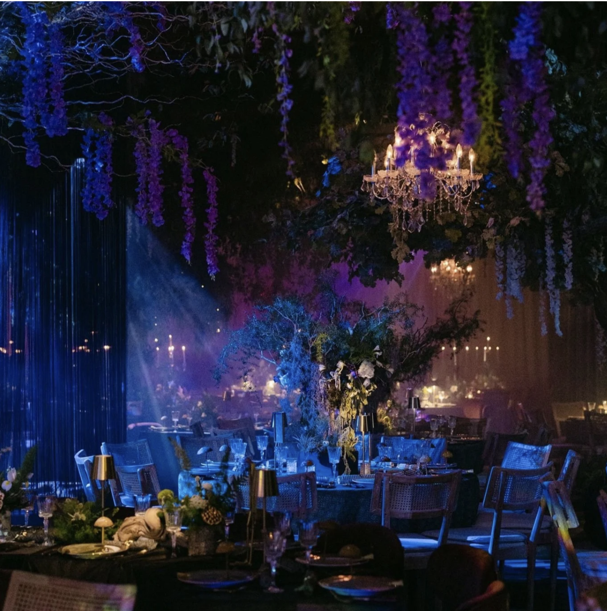 Philadelphia nonprofit gala with floral wisteria chandelier